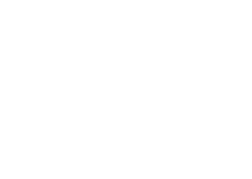 BTS 2026 Logo